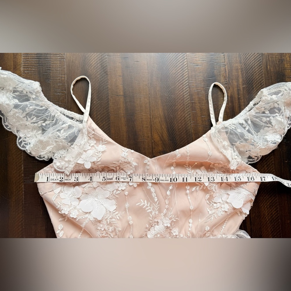 Pinkblush-Minuet‎ Ivory Floral Embroidered Mesh Maternity Evening*dress - Picture 12 of 14